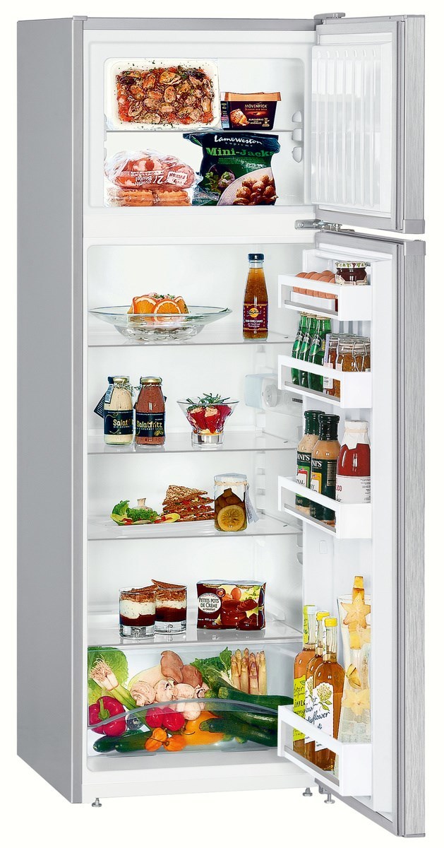 Холодильник двухкамерный купить в москве цена. Холодильник Liebherr CT 2931. Холодильник Liebherr ctel 2931. Liebherr CTPSL 2921. Liebherr CT 2931-21 001.